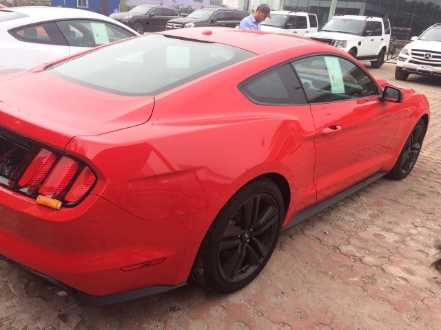 f11f48395661ce60.jpg