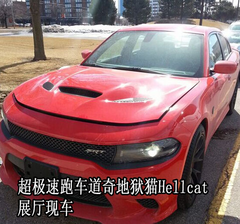 1e906f0ff9f3495a.jpg
