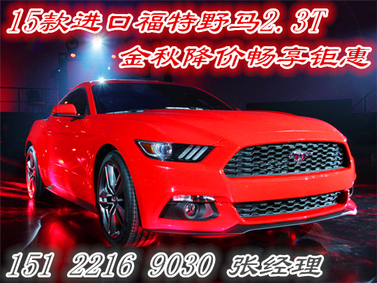 9ae6dad1ef4f2a49.jpg