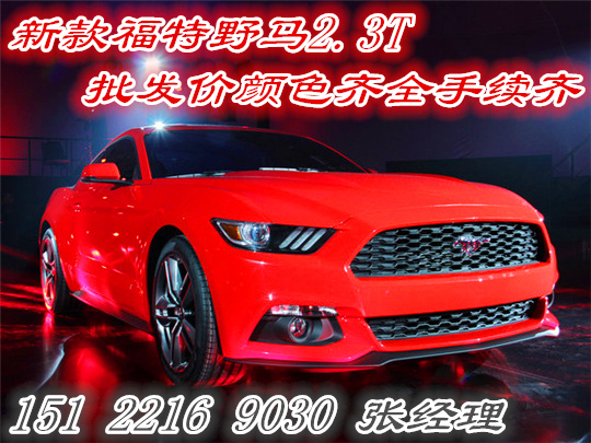 ee71b786495bc5b1.jpg