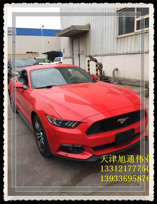 3284d86e5efb86f3.jpg