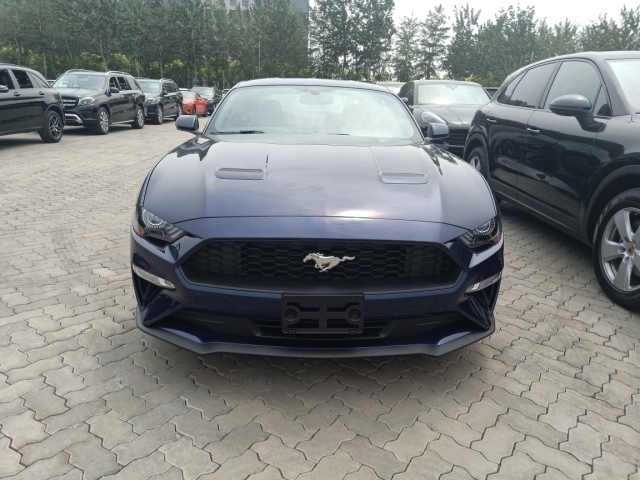 c0606fc28573a251.jpg