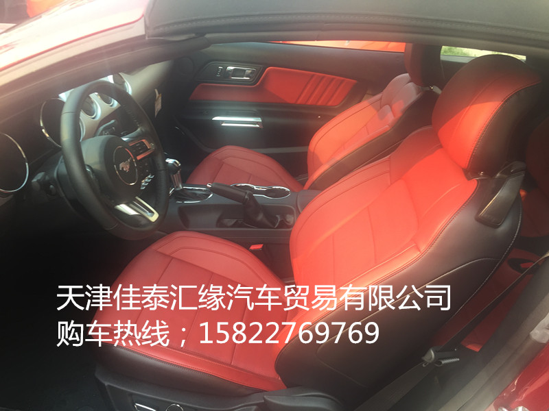 1bd17b40e30fb79b.jpg