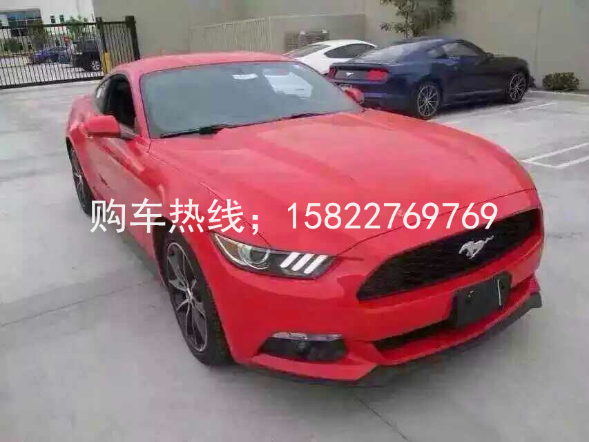 92bdbd079d45a731.jpg
