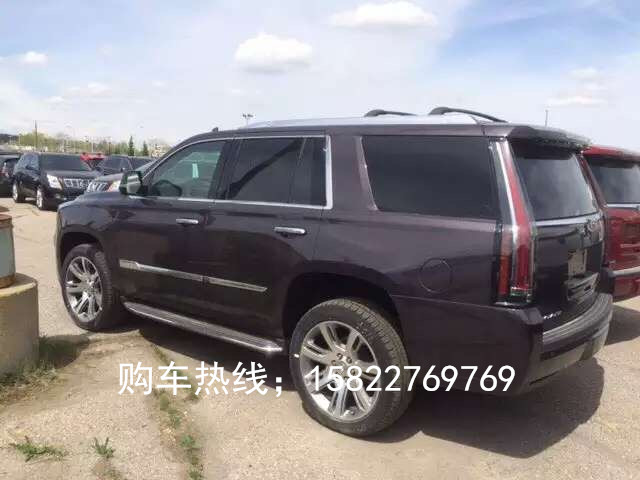 9dca1f793ccd544b.jpg