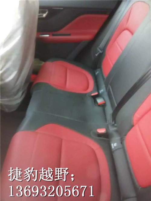 678b84db2929951d.jpg