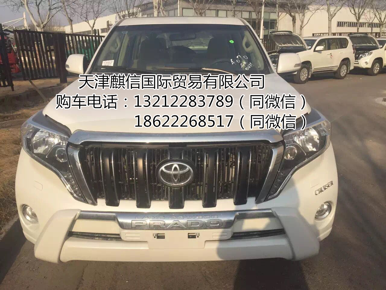 097a3b52db67c8fd.jpg