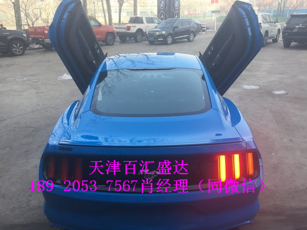 61f8242b4332ccb0.jpg