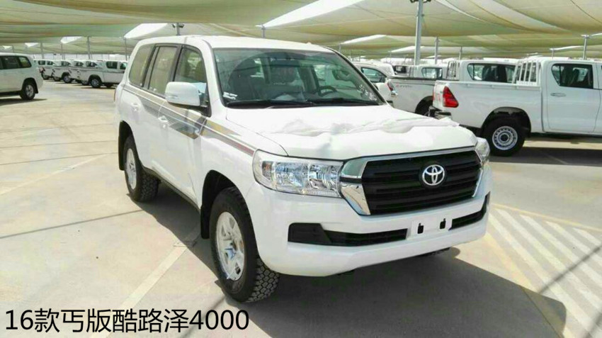 92f469d5a749cd98.jpg