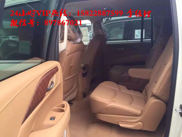 bf5cc51e517999f9.jpg