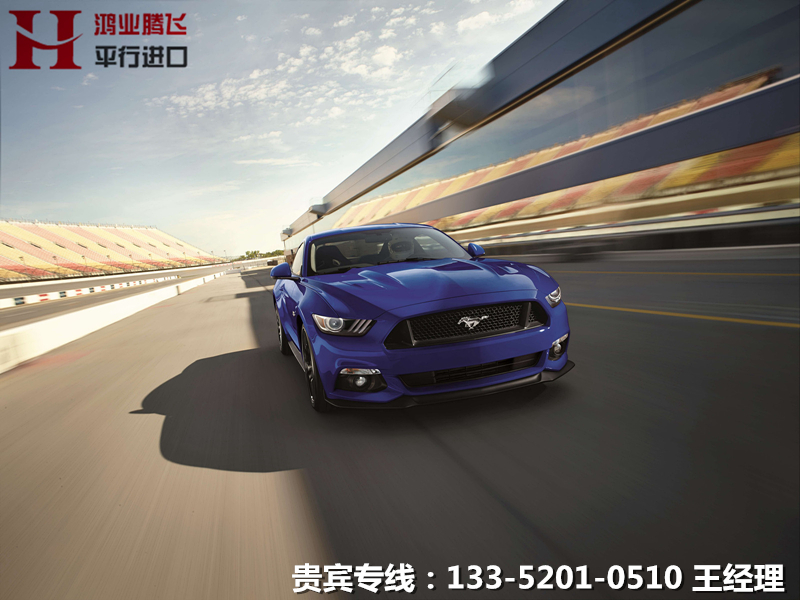 d49fa078263c381a.jpg