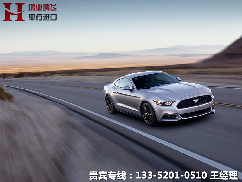 f4704459aa24dc4d.jpg