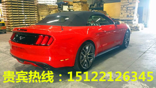 8b65767014d59745.jpg