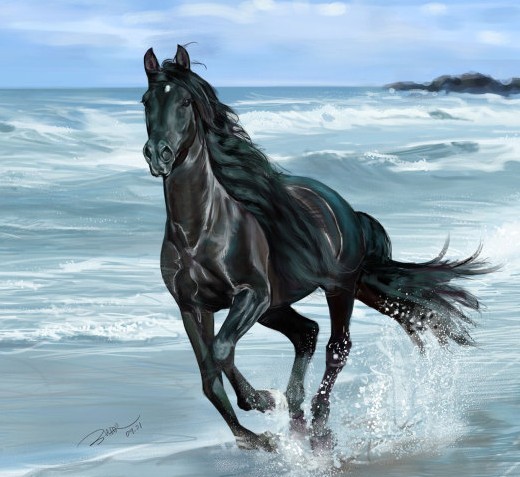 cff98f0c8fd996c9.jpg