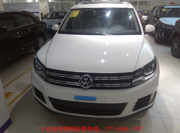 e9d881378cf7cc85.jpg