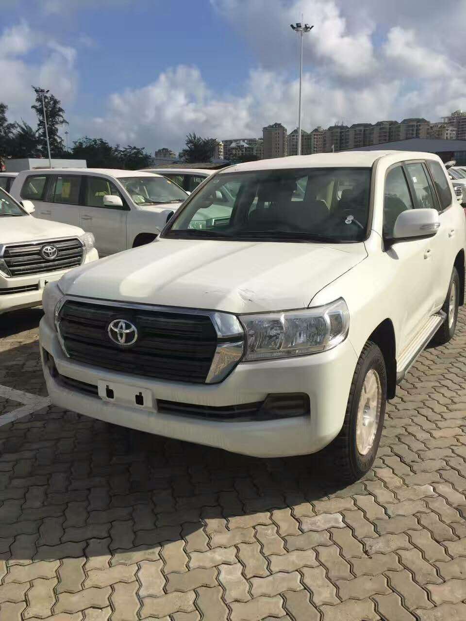 39412407d8bcc551.jpg