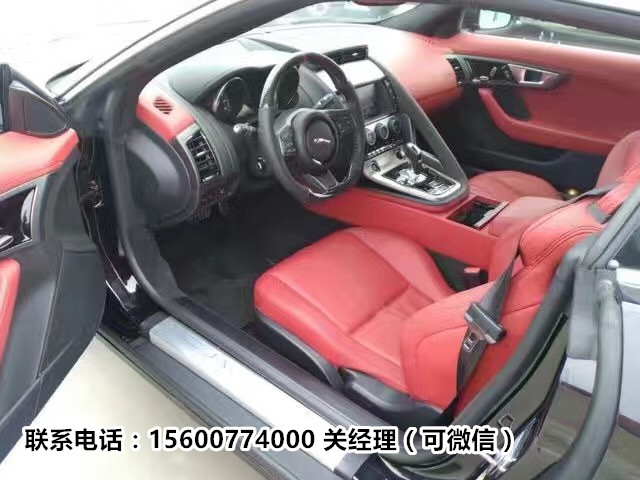 02bea46130768ba8.jpg