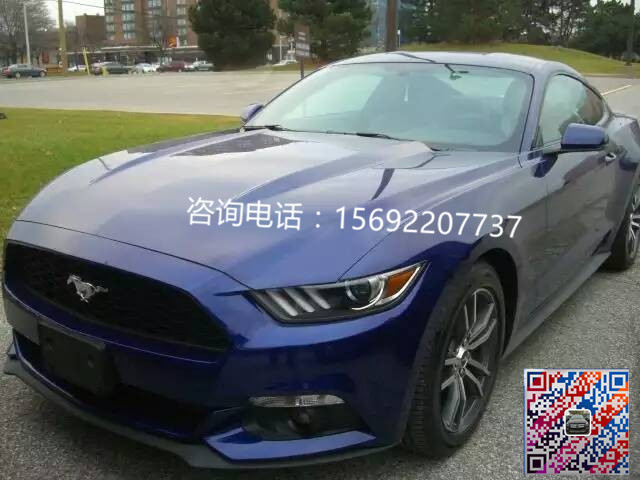 220d608b92eed9f0.jpg