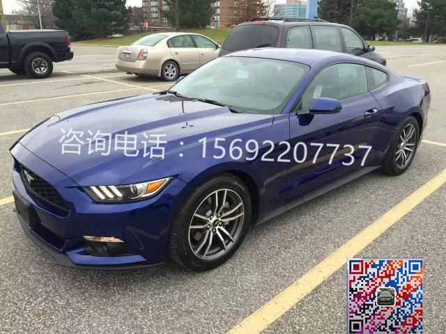 fcaa8c563205ea65.jpg