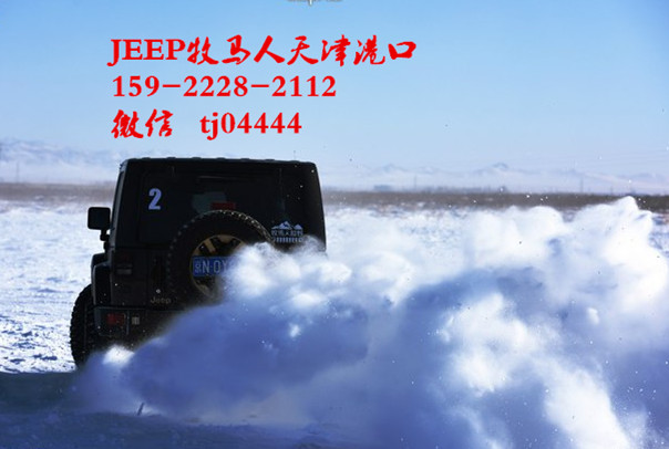 7ae23ba35c08d8ef.jpg