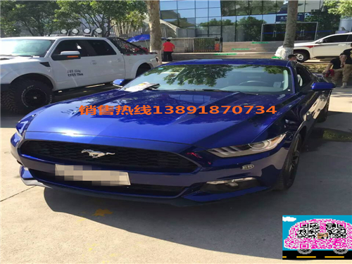 376ca3d321c57a15.jpg