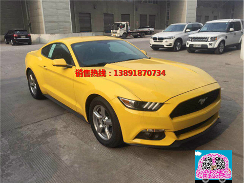 a49994ca8caf19d1.jpg