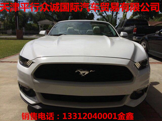 8a89450d2f630bc4.jpg