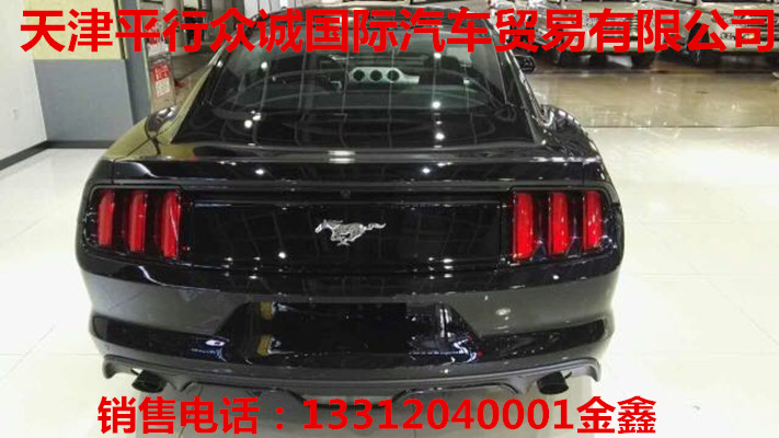 d9700cc540f951b1.jpg