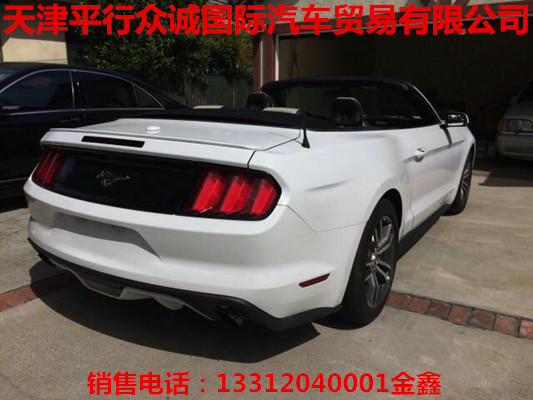 ef3beef60c32d2ce.jpg
