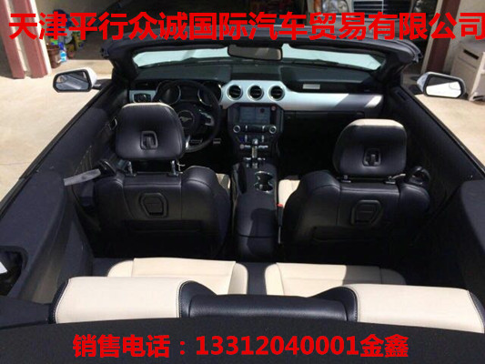 f41fcc5816bed1f1.jpg