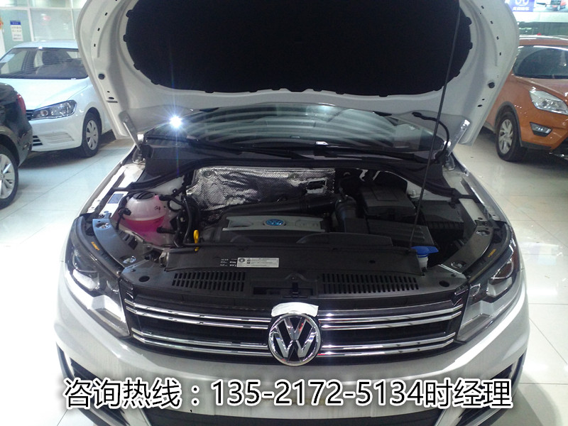 41fed517682860ae.jpg