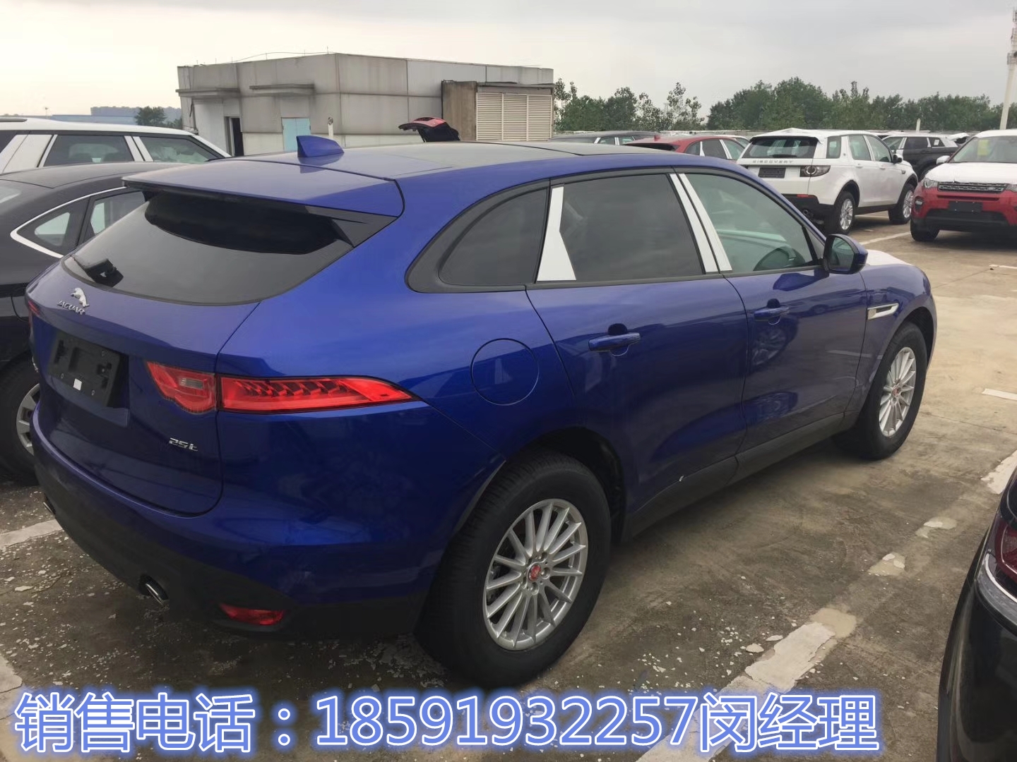 477e751a8b6138ed.jpg