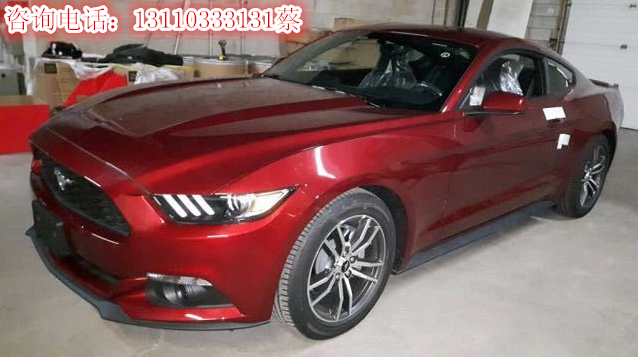 b55e9d6eb552a6de.jpg