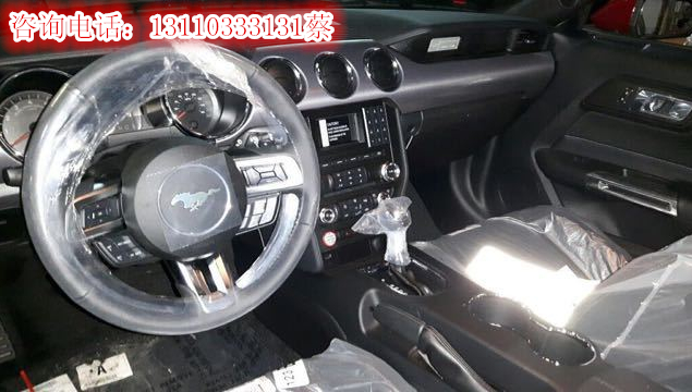 cafd55fdfcedef8b.jpg