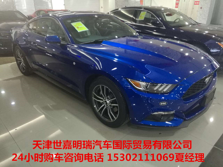 638d785316da9dd7.jpg