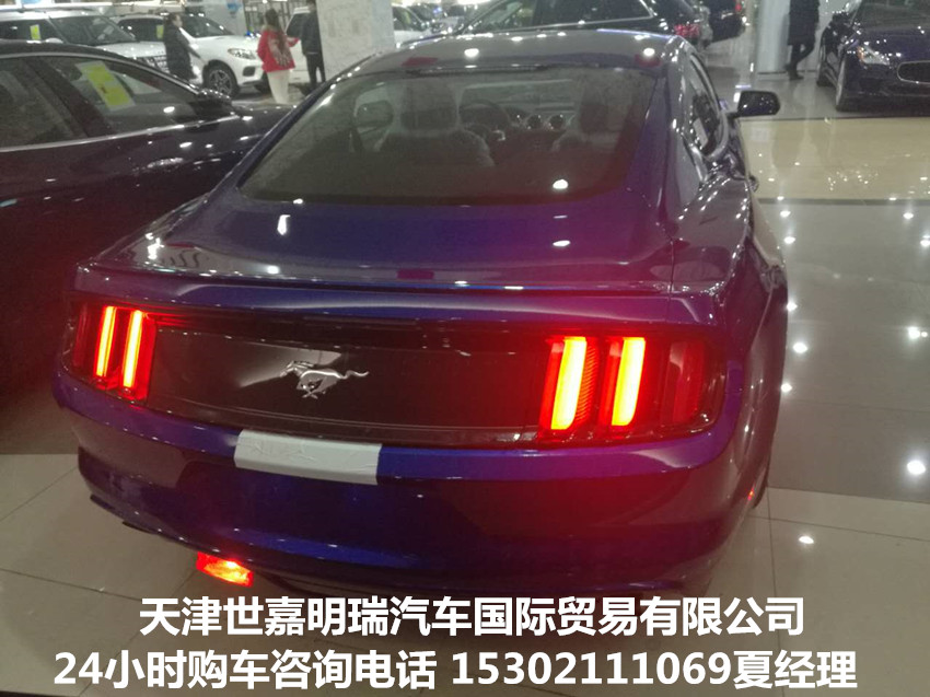 a6d21a298f5e5374.jpg
