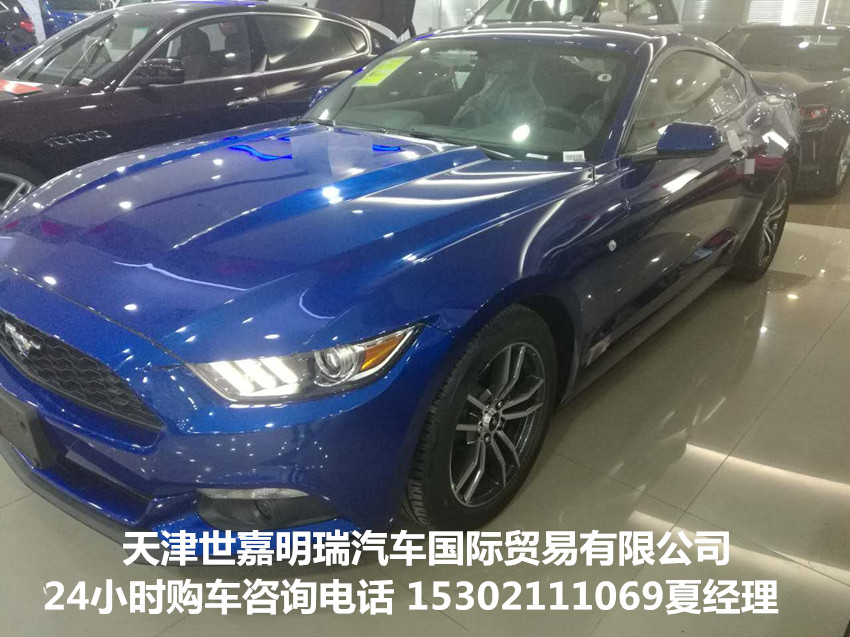 a791fa2b106b1641.jpg