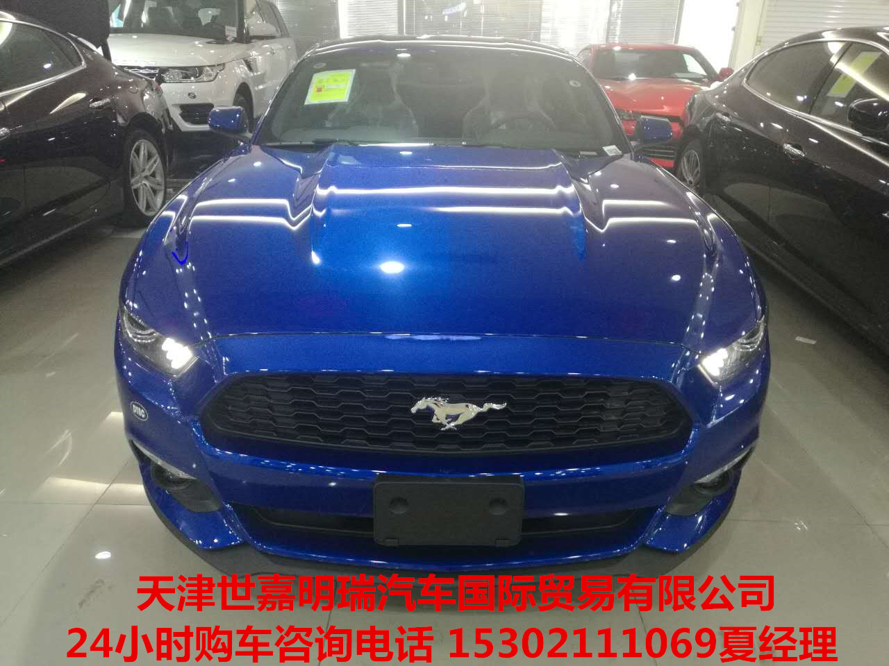 c15dc0faee0172d5.jpg