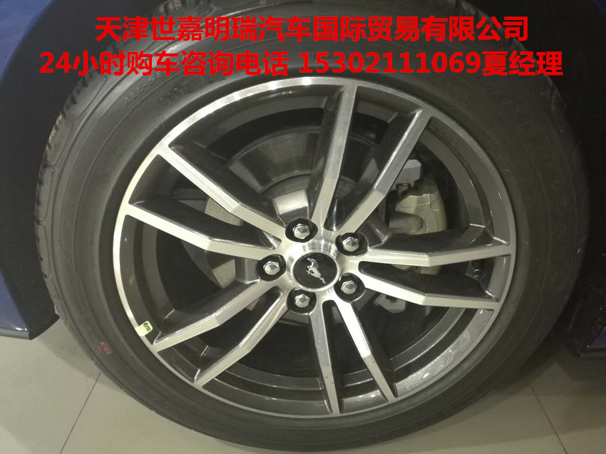 f8a7827e1ebad334.jpg