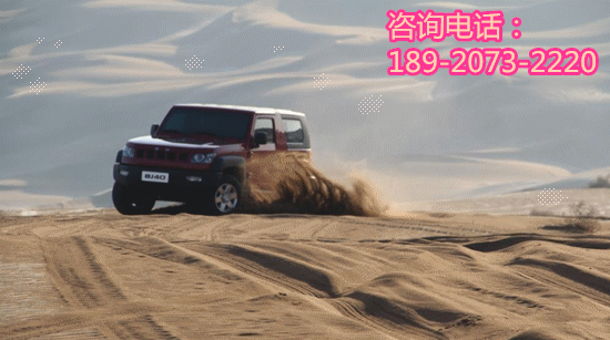 79acd919da71e9a0.gif