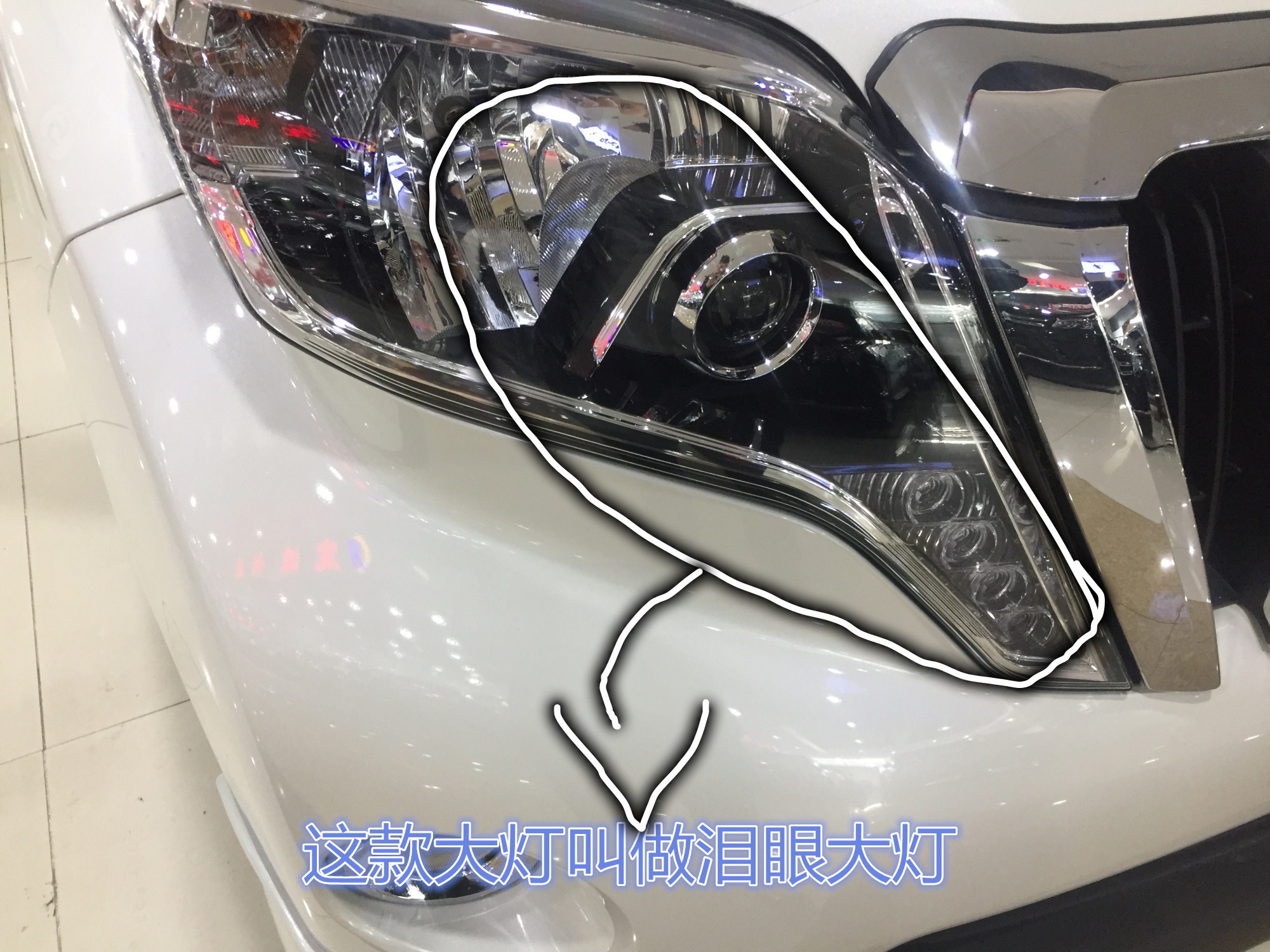天津寶誠興業(yè) 17710624561 白云龍