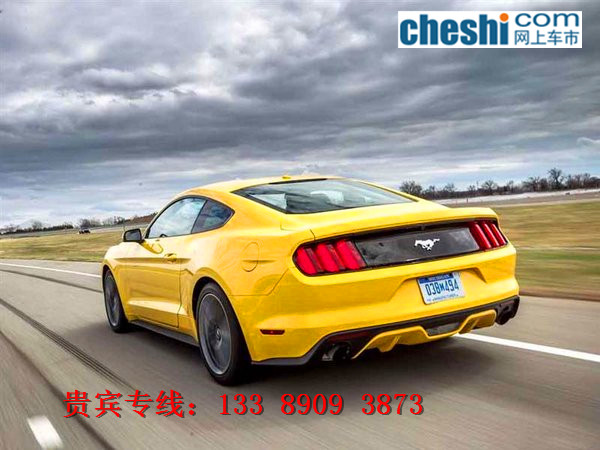 97d57504872ccb8b.jpg