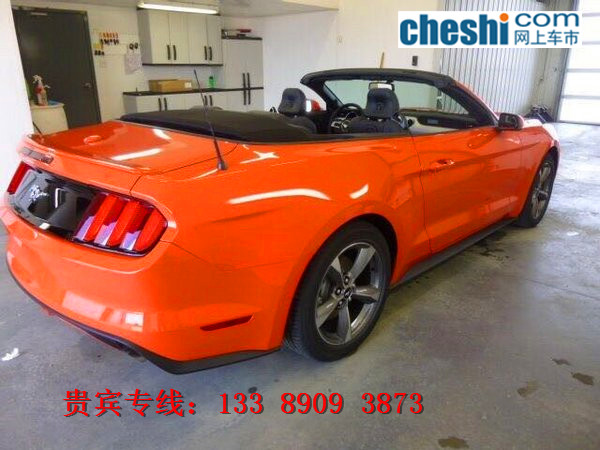 99806075b54d5560.jpg