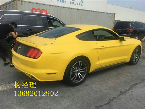 e5a255360a6406e5.jpg