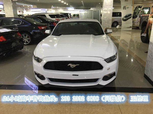 cae153cd5f53439a.jpg