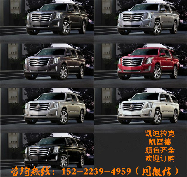 e24d05ddc3b26f74.jpg