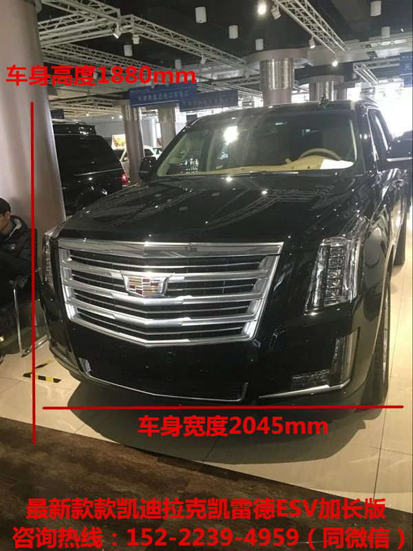ef52010080d117bf.jpg