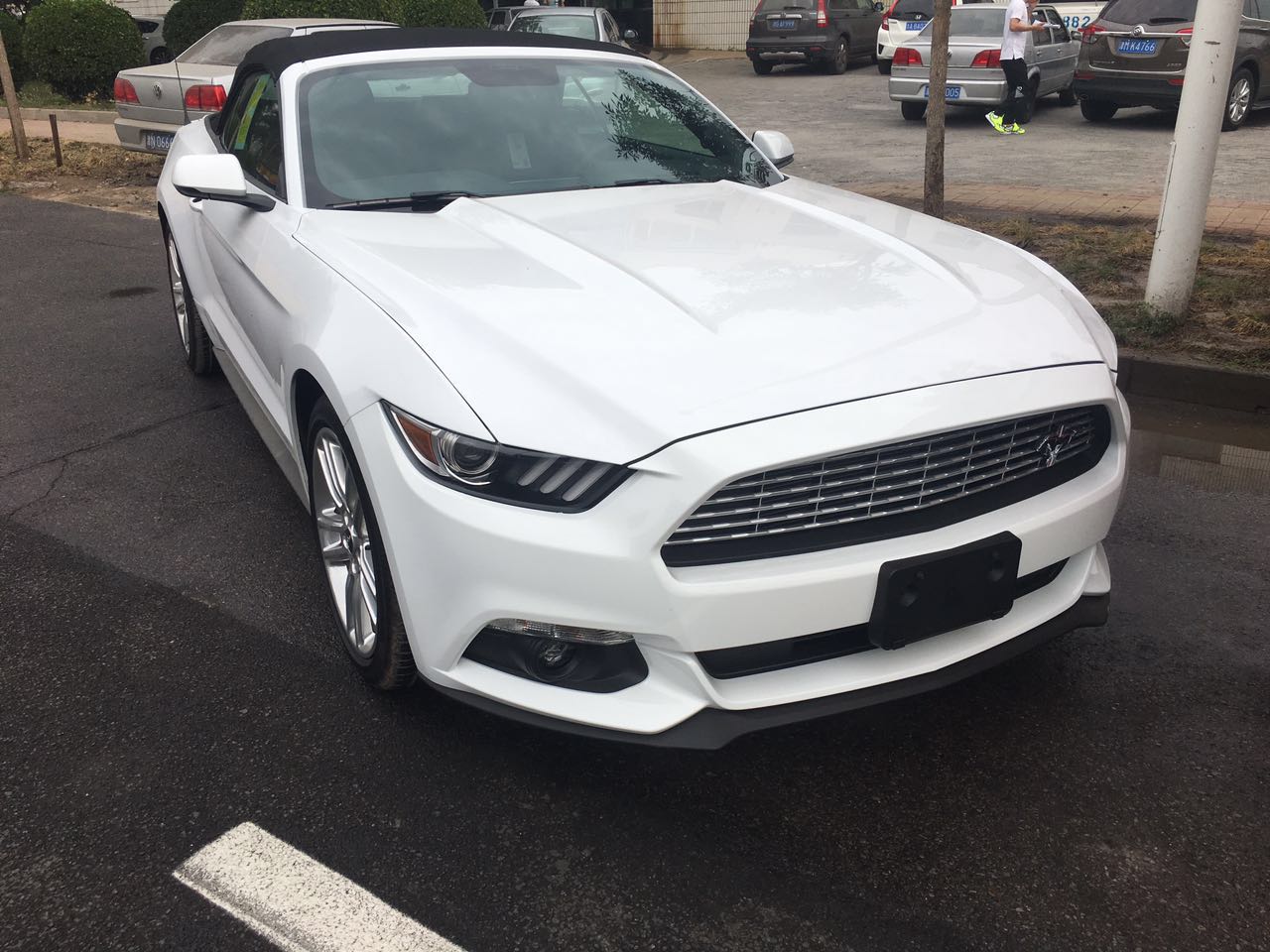 e79cb805d7362414.jpg