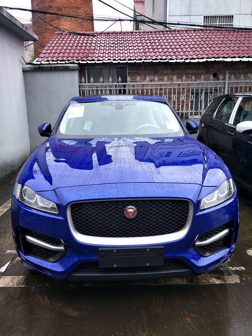 351e8bc6d0884006.jpg