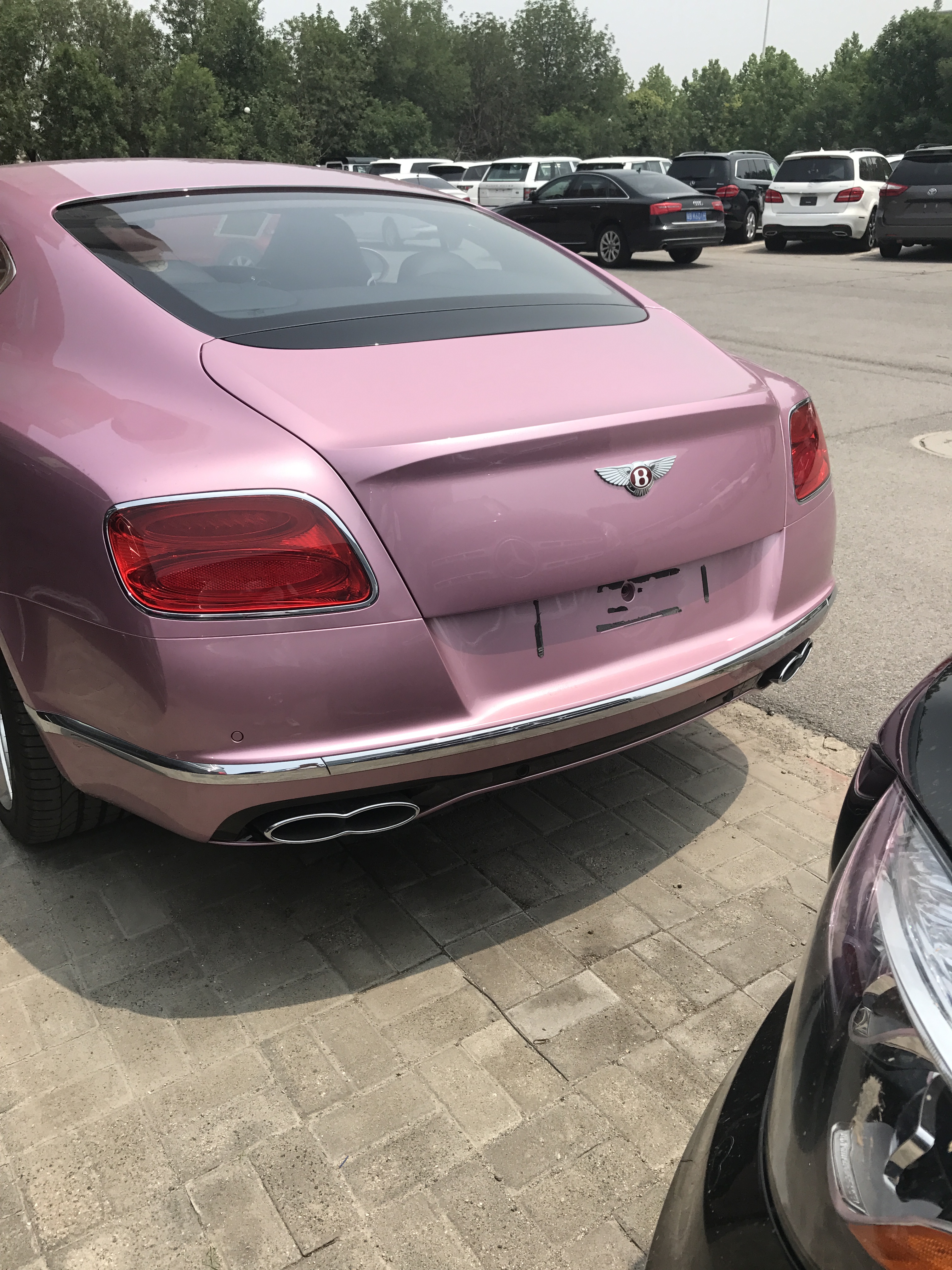 宾利欧陆GT顶级奢华 粉色275万限量销售_欧陆_天津滨海车市-网上车市